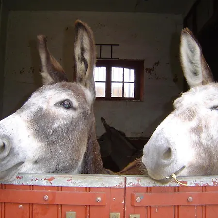 Guest house Au Milieu De Nulle Part Au Du Der *