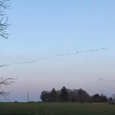 Domaine Du Der - Au Milieu De Nulle Part, Chambres Dhotes Au Lac Du Der Vendégház