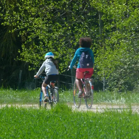 Domaine Du Der - Au Milieu De Nulle Part, Et Tables Dhotes Au Du Der Penzion Outines