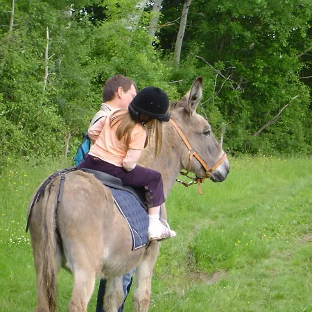 Domaine Du Der - Au Milieu De Nulle Part, Chambres Dhotes Au Lac Du Der Outines