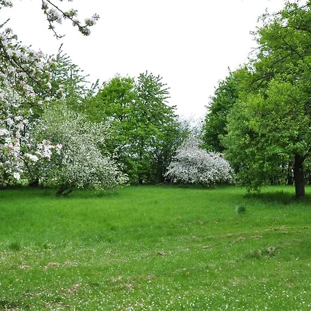 Au Milieu De Nulle Part Au Du Der Penzion *