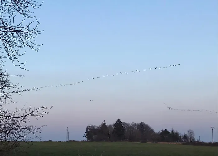 Domaine Du Der - Au Milieu De Nulle Part, Et Tables Dhotes Au Du Der Guest house