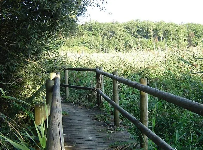 Guest house Domaine Du Der - Au Milieu De Nulle Part, Et Tables Dhotes Au Du Der Outines