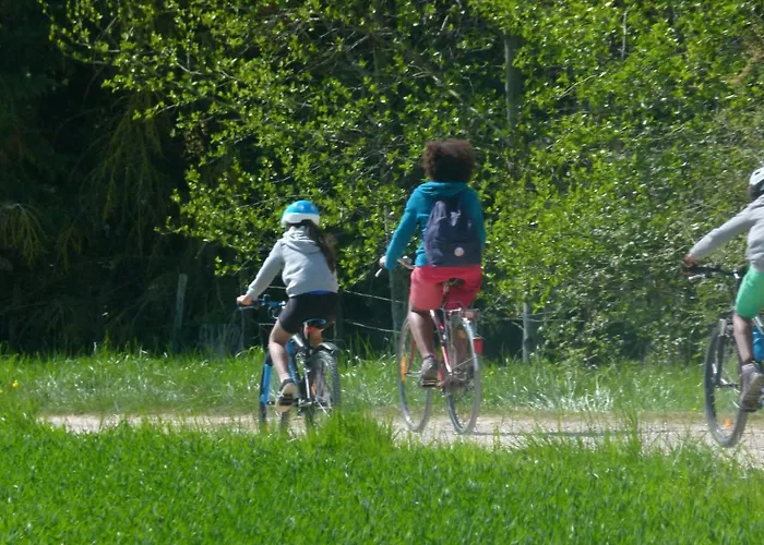 Domaine Du Der - Au Milieu De Nulle Part, Et Tables Dhotes Au Du Der Guest house Outines