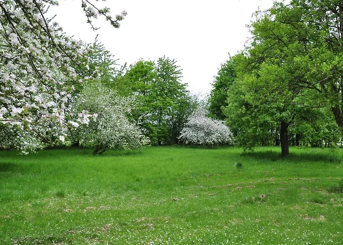 Domaine Du Der - Au Milieu De Nulle Part, Et Tables Dhotes Au Du Der Guest house *